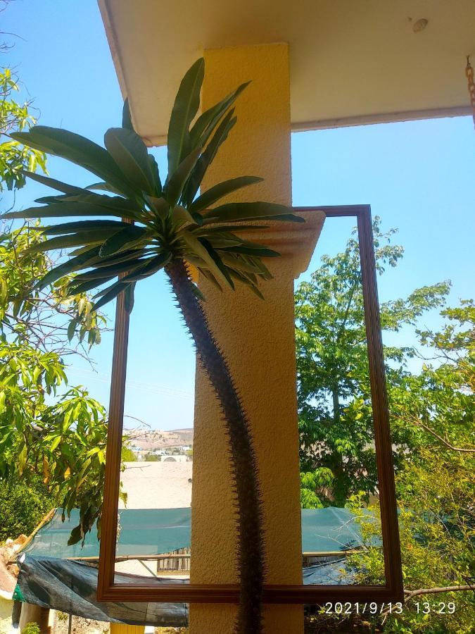Room In Guest Room - Padrinos Hostal La Paz Full House 외부 사진